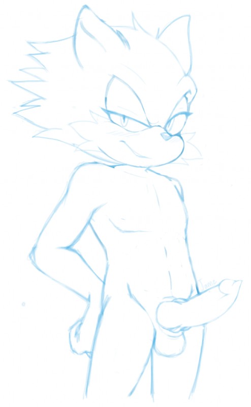 anthro balls erection genitals knot looking_at_viewer male nude penis solo jammiez sega sonic_the_hedgehog_(series) moku canid canine canis mammal wolf blue_and_white hi_res monochrome