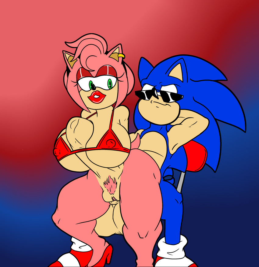 amy rose and sonic the hedgehog (sonic the hedgehog (series) and etc) created by artybear