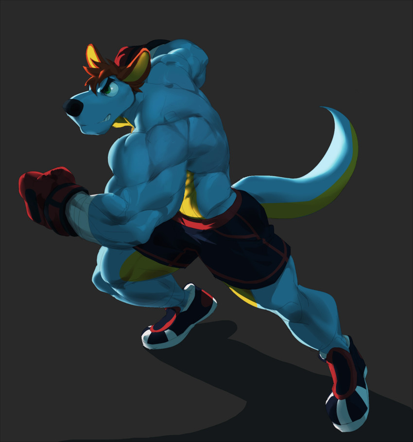 abs anthro anthrofied back_muscles biceps big_muscles blue_body blue_fur bottomwear boxing_gloves brown_hair clothed clothing fur hair handwear male muscular muscular_anthro muscular_male obliques shorts solo topless triceps rollingstoneeeeee animal_crossing nintendo rooney_(animal_crossing) kangaroo macropod mammal marsupial hi_res