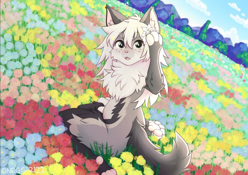 accessory ambiguous_gender anthro blue_sky cloud day detailed_background feet flower flower_field flower_in_hair fur grey_body grey_fur grey_hair grey_inner_ear_fluff hair hair_accessory hindpaw inner_ear_fluff kneeling long_hair mountain nude open_mouth outside pawpads paws pink_inner_ear pink_nose pink_pawpads pink_tongue plant sky solo tail three-quarter_view tongue tree tuft onigiriad mammal 2022 clip_studio_paint_(artwork) digital_drawing_(artwork) digital_media_(artwork) full-length_portrait portrait shaded