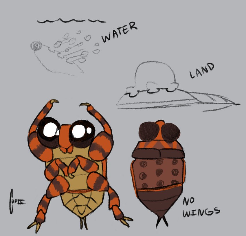 ambiguous_gender big_eyes claws feral multi_limb orange_body stripes water cupic arthropod giant_water_bug insect true_bug signature