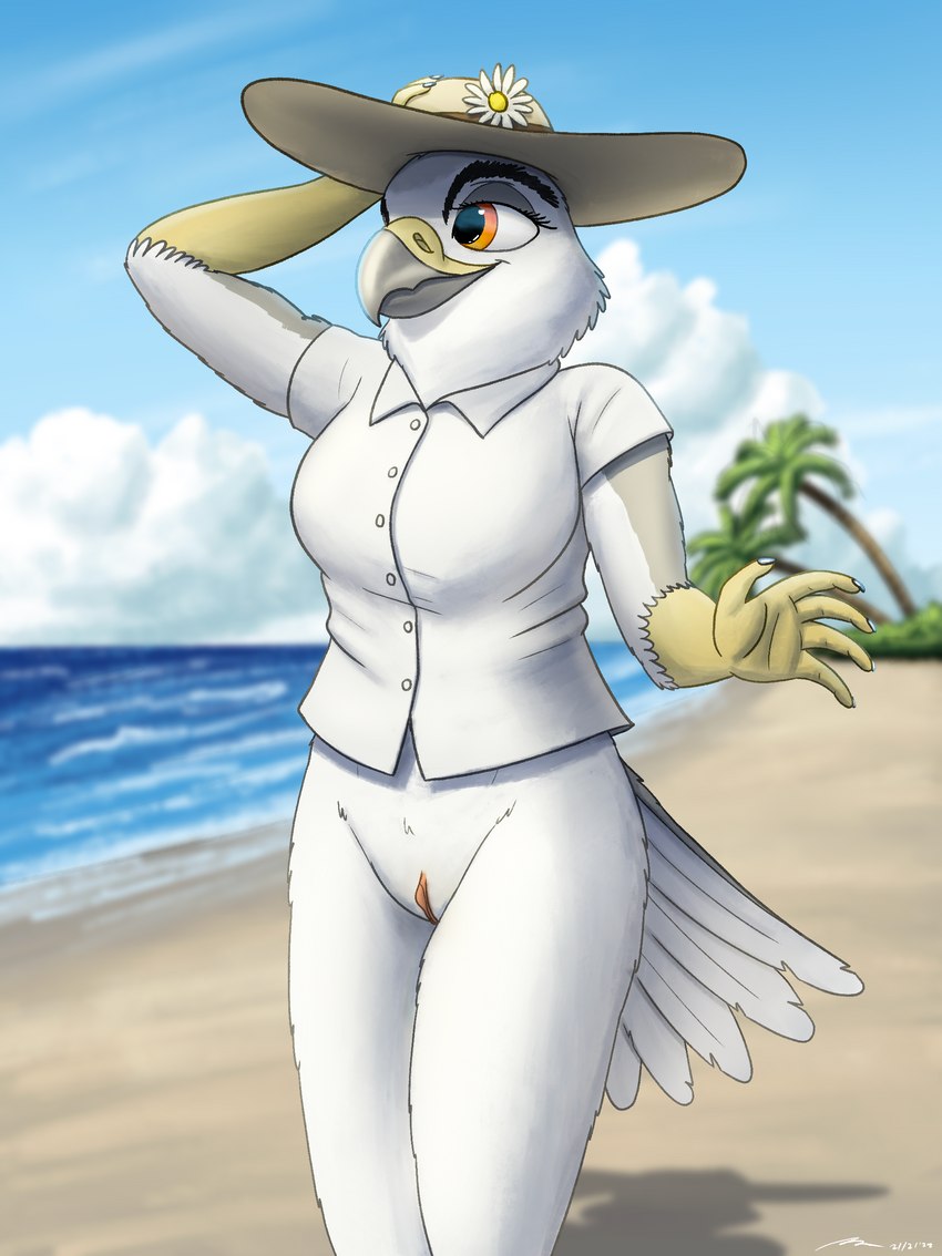 5_fingers anthro beach beak bottomless breasts clitoris clothed clothing day detailed_background dress_shirt exhibitionism feathers female fingers genitals hat headgear headwear light non-mammal_breasts outside pose pussy scuted_arms scutes seaside shadow shirt short_sleeved_shirt short_sleeves sky solo sun_hat sunlight tail tail_feathers topwear fish_birb annie_(fish_birb) accipitrid accipitriform avian bird kite_(bird) white-tailed_kite 2022 absurd_res dated digital_media_(artwork) hi_res lighting pinup shaded signature