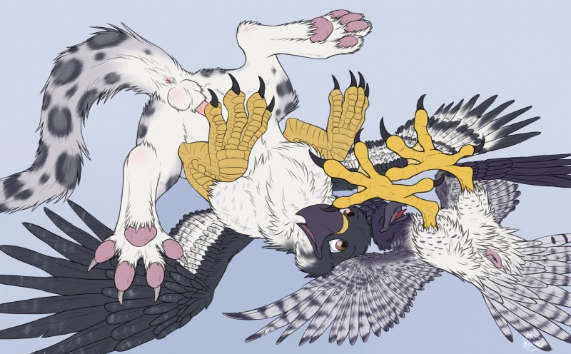 4_toes animal_genitalia anisodactyl anus avian_feet balls beak cloaca duo erection feathered_wings feathers feet feral genitals hindpaw lying male male/male on_back paws penis round_cloaca spread_legs spreading tail talons toes wings catwolf mythology auspex noxy_(avian) accipitrid accipitriform augur_buzzard avian bird buteo eagle felid gryphon harpy_eagle leopard mammal mythological_avian mythological_creature pantherine snow_leopard 2011 hi_res