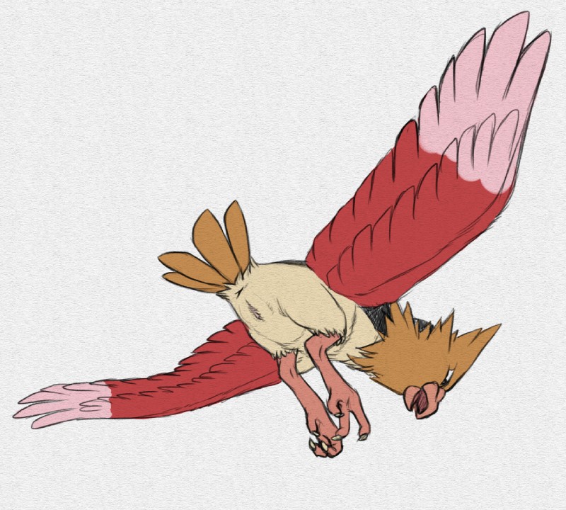 anus avian_butt avian_feet beak butt feathered_wings feathers feet female feral flying genitals looking_down non-mammal_pussy open_mouth pussy rear_view simple_background solo spread_wings talons toes white_background wings python13rp yaroul nintendo pokemon avian bird generation_1_pokemon pokemon_(species) spearow graphite_(artwork) sketch traditional_media_(artwork)