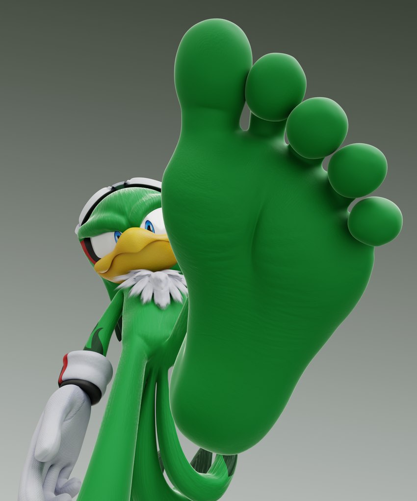 jet the hawk (sonic the hedgehog (series) and etc) created by feetymcfoot