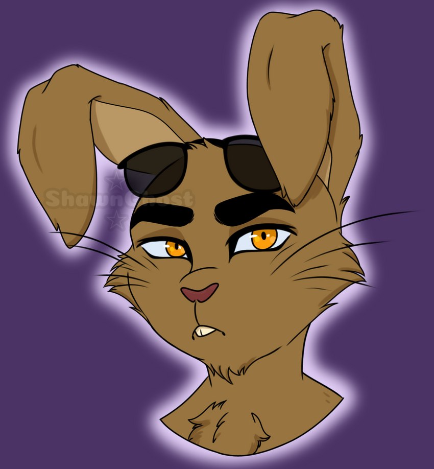 anthro brown_body brown_fur cheek_tuft chest_tuft eyebrows eyelashes eyewear facial_tuft floppy_ears fur male orange_eyes solo sunglasses thick_eyebrows thick_eyelashes tuft mistystar lagomorph leporid mammal rabbit