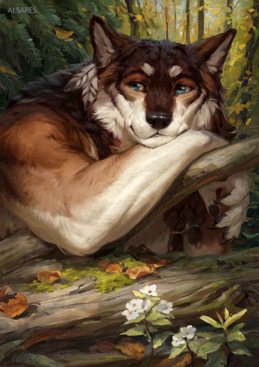 anthro black_nose blue_eyes braided_hair branch brown_body brown_fur claws detailed_background ear_piercing feather_accessory flower fur hair male nature outside piercing plant solo tree alsares miles_(miles-wolf) canid canine canis mammal wolf hi_res traditional_media_(artwork)