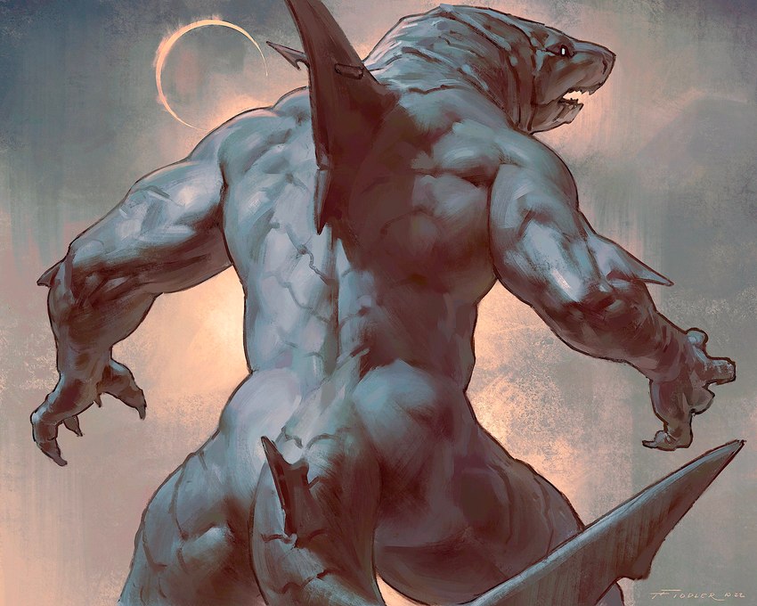 anthro back_muscles butt eclipse fangs fin grey_body grey_skin male muscular muscular_male rear_view solo spread_arms standing teeth triceps taran_fiddler fish marine shark werecreature werefish wereshark 2022 5:4 grey_theme hi_res portrait restricted_palette three-quarter_portrait