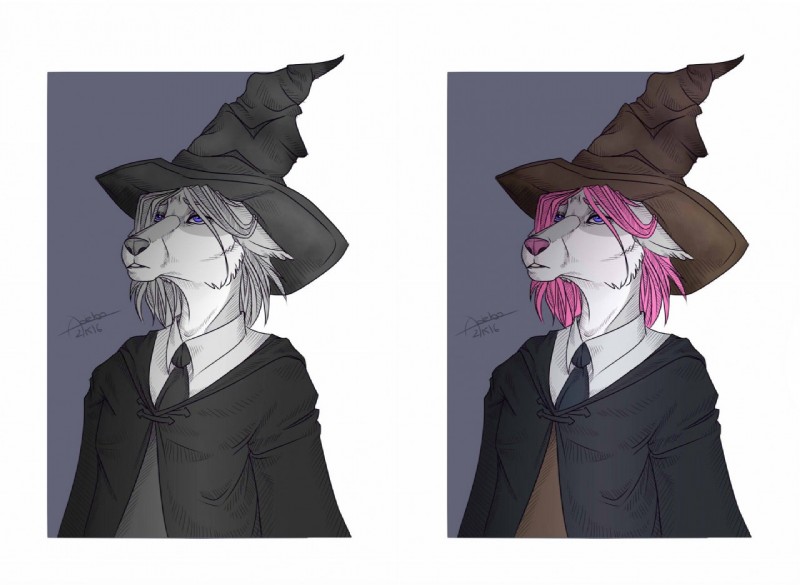 anthro clothed clothing female fur hair hat headgear headwear pink_hair shirt simple_background solo standing topwear witch_hat adeloo harry_potter_(series) sorting_hat canid canine mammal 2016 digital_media_(artwork)