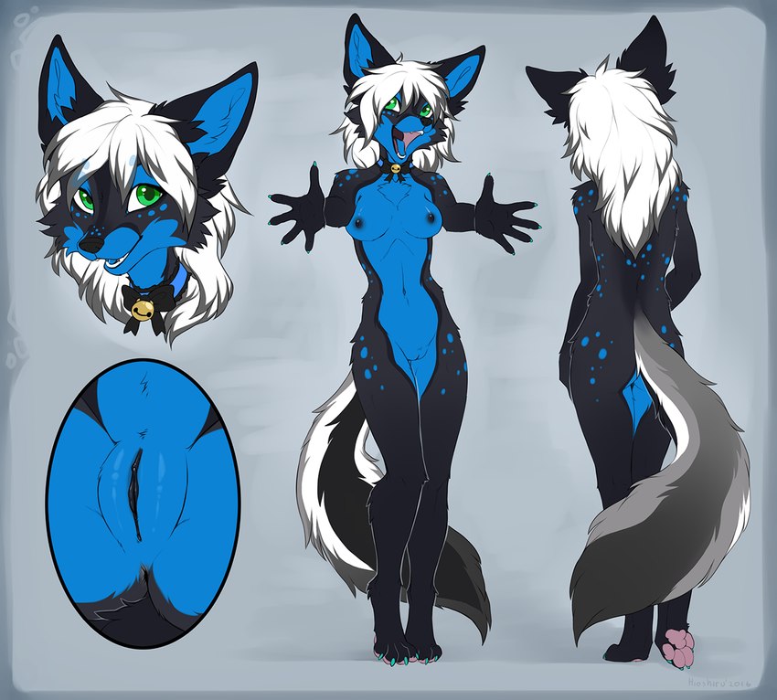 anthro anus black_anus black_body black_breasts black_fur black_pussy blue_body blue_fur breasts collar female fluffy fluffy_tail fur genitals green_eyes grey_tail hair pawpads pussy solo tail white_hair hioshiru canid canine canis mammal wolf 2016 model_sheet