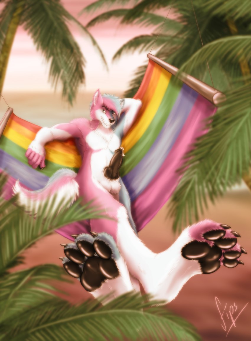 animal_genitalia animal_penis anthro balls beach bodily_fluids canine_genitalia canine_penis crossed_legs dripping erection feet foot_focus genital_fluids genitals glint hammock knot leg_over_shin lgbt_pride looking_at_viewer male pawpads paws penis precum precum_drip pride_colors rainbow_pride_colors rainbow_symbol seaside six-stripe_rainbow_pride_colors solo fips canid canine canis domestic_dog husky mammal nordic_sled_dog spitz hi_res