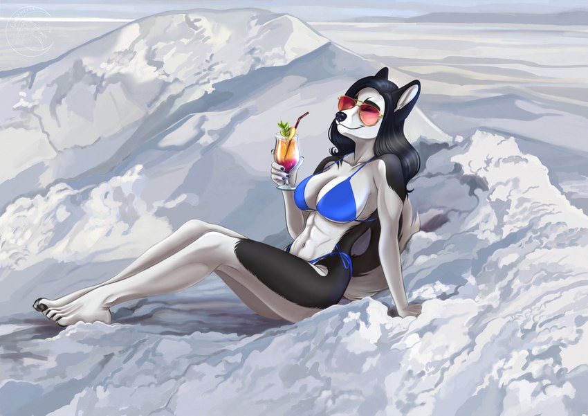 4_toes 5_fingers abs alcohol anthro athletic athletic_anthro athletic_female barefoot beverage bikini bikini_bottom bikini_top black_body black_fur black_hair black_nose breasts cleavage clothed clothed_anthro clothed_female clothing cocktail eyes_closed eyewear feet female fingers fur hair hindpaw humanoid_hands multicolored_body multicolored_fur navel paws sitting smile snow solo sunglasses swimwear tail toes two-piece_swimsuit two_tone_body two_tone_fur white_body white_fur cinnameana roxanne_del_rio canid canine canis domestic_dog husky mammal nordic_sled_dog siberian_husky spitz hi_res