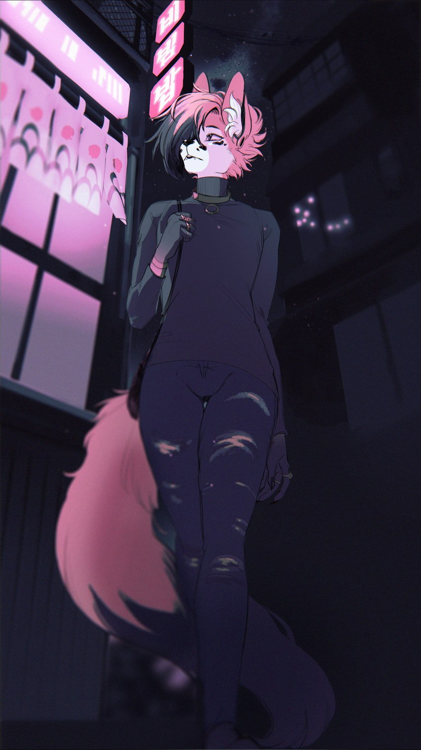 anthro black_clothing black_nose black_shirt black_topwear bottomwear building clothing collar digit_ring ear_piercing ear_ring femboy finger_ring front_view fur hair jewelry low-angle_view male night outside pants piercing pink_body pink_fur pink_hair ring_piercing shirt solo star text topwear walking white_body white_fur indigo_cho canid canine mammal 2018 absurd_res digital_media_(artwork) hi_res japanese_text