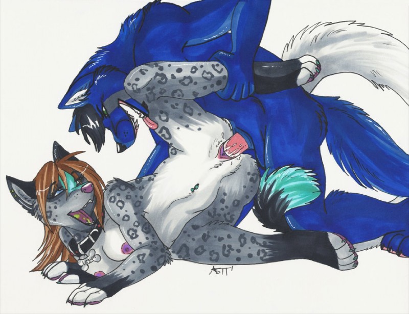 4_toes 5_fingers ankle_grab anthro anthro_on_anthro anthro_penetrated anthro_penetrating anthro_penetrating_anthro areola barely_visible_pawpads black_body black_claws black_collar black_ears black_fur black_hair blue_body blue_claws blue_eyes blue_fur blue_markings blue_tail_tip bodily_fluids bone_collar_tag breasts brown_hair brown_highlights claws collar collar_only collar_tag countershade_torso countershading curved_tail dipstick_tail duo erection eyebrow_through_hair eyebrows facial_markings feet female female_anthro female_on_bottom female_penetrated finger_claws fingerless_(marking) fingerless_gloves_(marking) fingers fur genital_fluids genitals gloves_(marking) green_eyes grey_inner_ear grey_markings hair head_markings highlights_(coloring) kneeling leg_grab leg_markings leopard_spots long_tail looking_at_another looking_at_partner lying male male/female male_anthro male_on_top male_penetrating male_penetrating_female markings multicolored_tongue navel navel_piercing nipples nude nude_anthro nude_female nude_male on_bottom on_side on_top open_mouth paws penetration penile penile_penetration penis penis_in_pussy piercing purple_areola purple_nipples purple_nose purple_pussy purple_tongue pussy ring_(marking) ringed_tail sex simple_background socks_(marking) spots spotted_arms spotted_body spotted_fur spotted_legs spread_legs spreading striped_markings striped_tail stripes tail tail_markings tear_(marking) toe_claws toeless_(marking) toeless_socks_(marking) toes tongue translucent translucent_hair two_tone_tongue vaginal vaginal_penetration whisker_spots white_background white_body white_countershading white_fingers white_fur white_inner_ear white_toes celestialwolfen flynx legionwolfe canid felid mammal pantherine snow_leopard signature