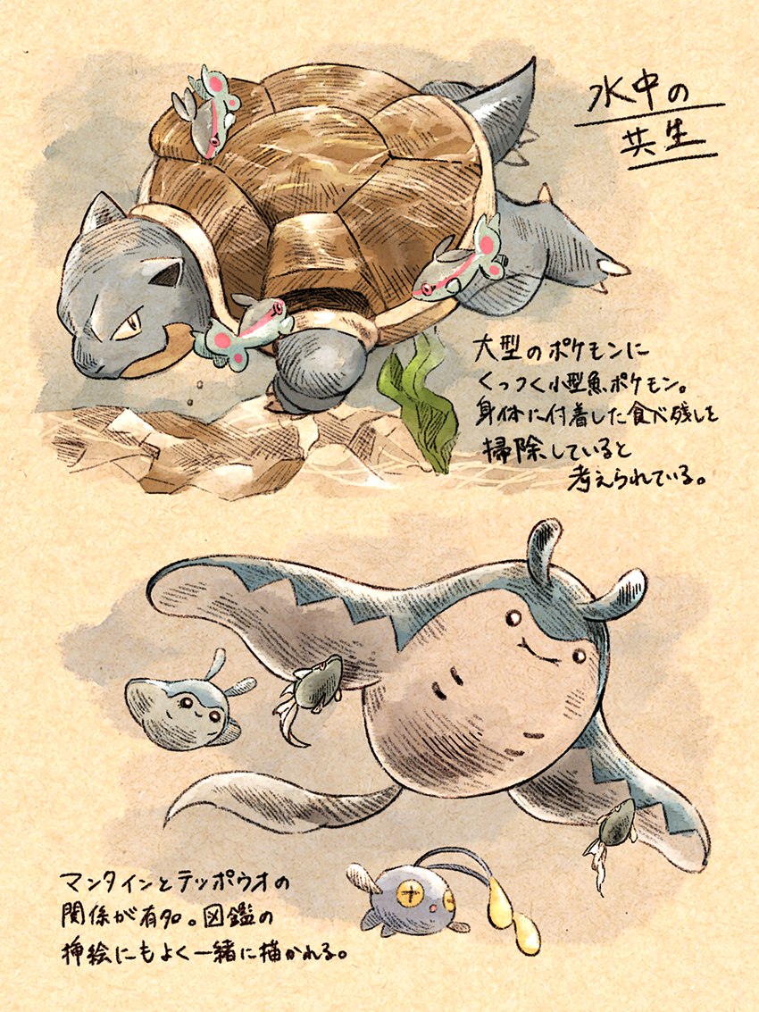 ambiguous_gender claws feral fin group shell size_difference smile tail text underwater water koike_09 nintendo pokemon blastoise chinchou finneon fish generation_1_pokemon generation_2_pokemon generation_4_pokemon mantine mantyke marine pokemon_(species) remoraid reptile scalie turtle 2020 hi_res japanese_text