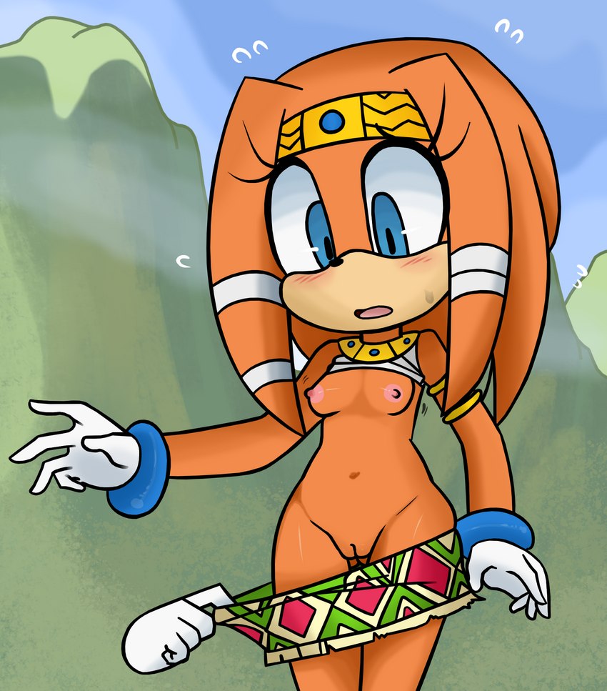 tikal the echidna (sonic the hedgehog (series) and etc) created by es74 and tenshigarden