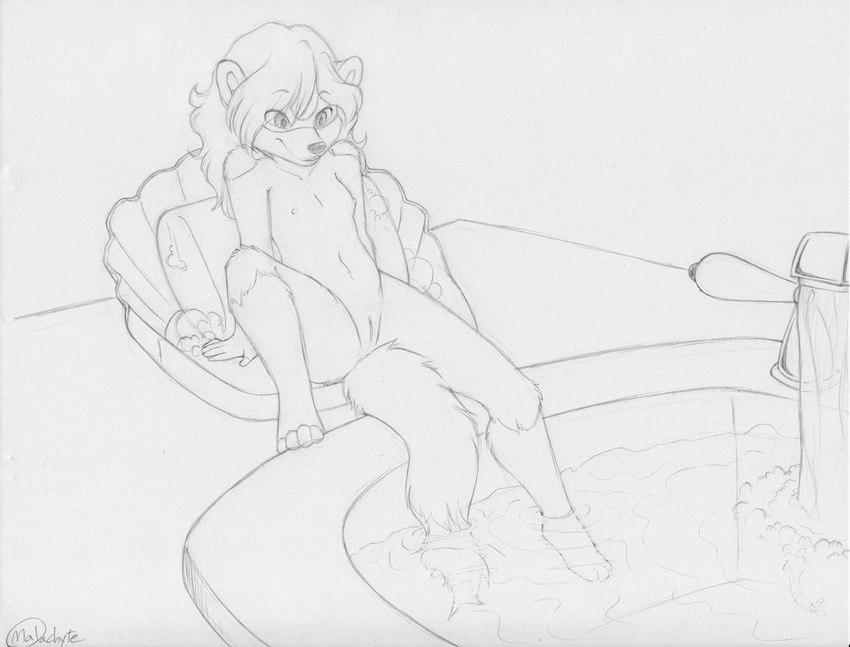 4_toes 5_fingers anthro arm_support bald_crotch bangs biped breasts eyebrows faucet feet female female_anthro fingers genitals hair inside leg_in_water leg_markings long_hair markings navel nipples nude nude_anthro nude_female pussy raised_knee round_ears sink sitting small_breasts soap soap_bubbles soap_dish socks_(marking) solo spread_legs spreading text three-quarter_view toes water malachyte monya domestic_ferret mammal mustelid musteline true_musteline weasel 2015 artist_name black_and_white english_text full-length_portrait graphite_(artwork) handwritten_text line_art monochrome portrait traditional_media_(artwork)