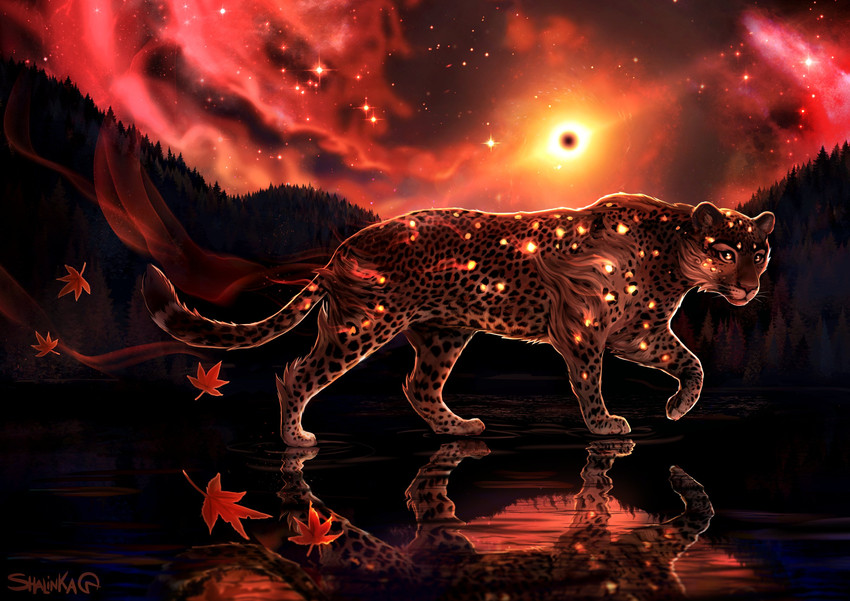 ambiguous_gender day detailed_background eclipse eyebrows eyelashes feral fur markings outside paws reflection sky solo spots spotted_body spotted_fur standing water whiskers shalinka cheetah felid feline mammal 2020 digital_media_(artwork) hi_res