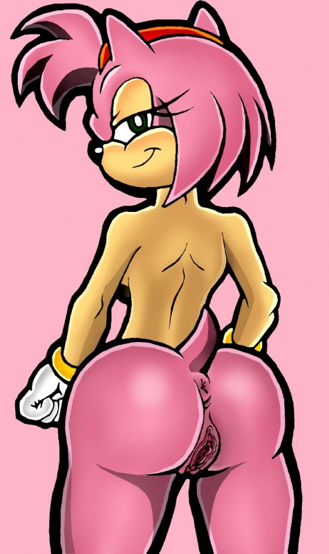 amy rose (sonic the hedgehog (series) and etc) created by dhx2kartz