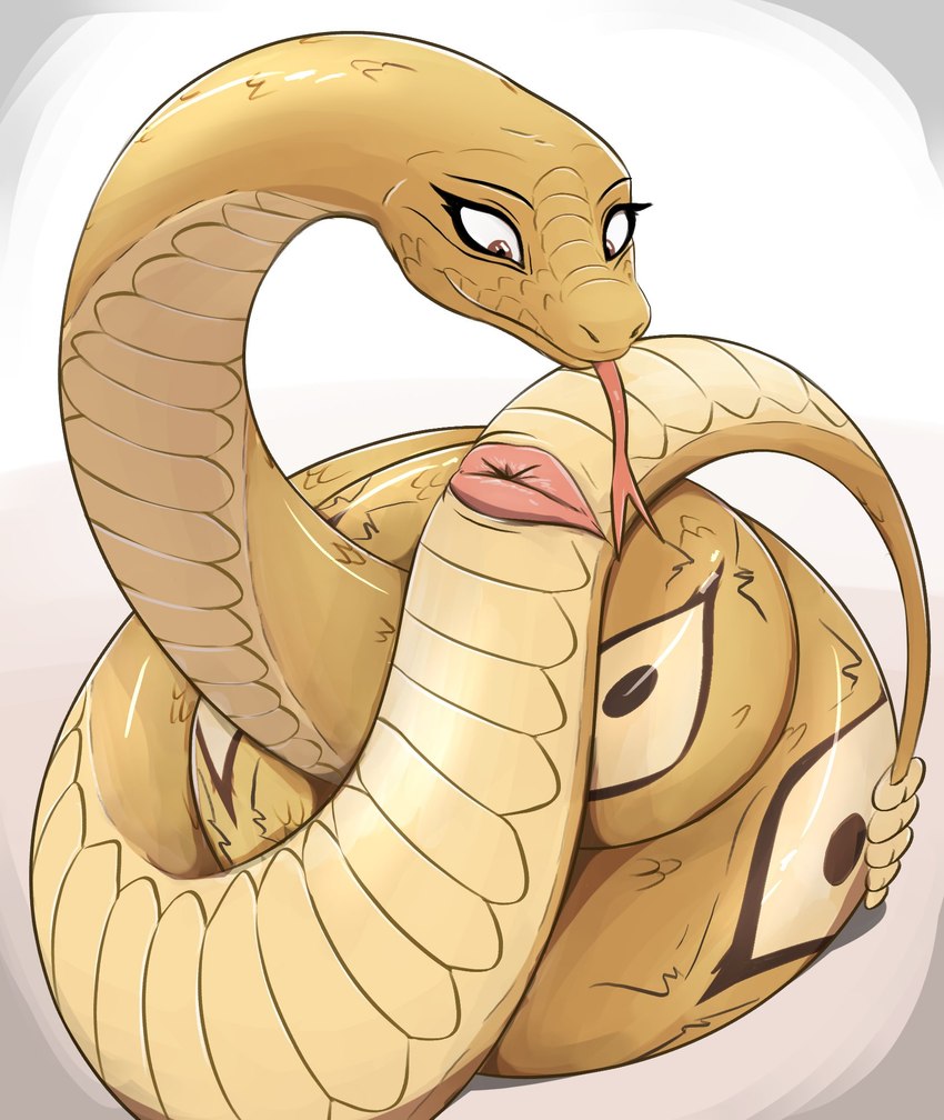 animal_genitalia cloaca coiling_self female female_feral feral genitals horizontal_cloaca limbless_vertebrate nude scales serpentine solo tan_body tan_scales noodlestoat beastars rokume_(beastars) pit_viper rattlesnake reptile scalie snake viper 2022 hi_res