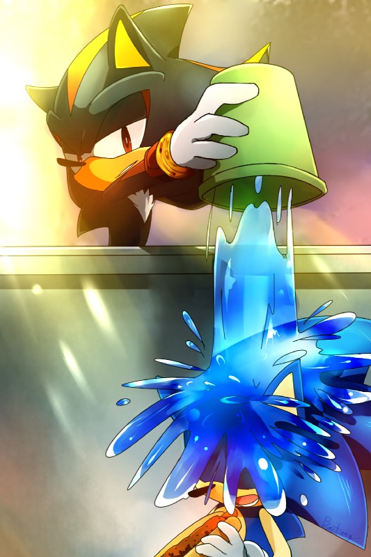 shadow the hedgehog and sonic the hedgehog (sonic the hedgehog (series) and etc) created by baitong9194