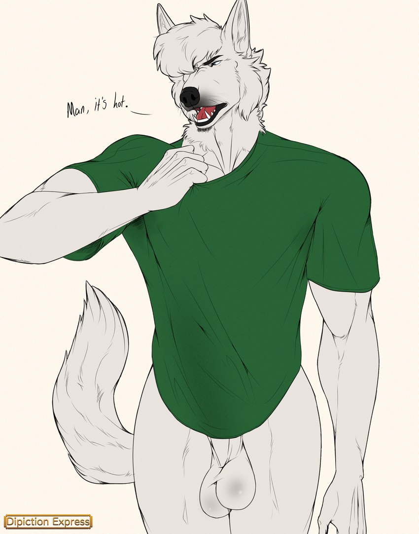 annoyed anthro athletic athletic_anthro athletic_male balls bodily_fluids bottomless bottomless_male clothed clothing clothing_pull dialogue facial_hair genitals goatee green_clothing heat_(temperature) humanoid_genitalia humanoid_hands humanoid_penis male muscular muscular_anthro muscular_male penis saggy_balls shirt shirt_only shirt_pull simple_background solo sweat sweaty_clothing sweaty_shirt sweaty_topwear talking_to_viewer text topwear topwear_only topwear_pull walking walking_towards_viewer depictionexpress top_k_(depiction_express) canid canine canis mammal wolf absurd_res english_text hi_res