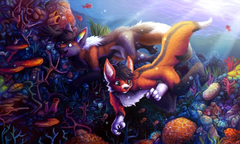 ambiguous_gender anthro bubble coral_reef detailed_background duo fluffy fur happy inner_ear_fluff light multicolored_body multicolored_ears multicolored_fur nude rainbow_ears sea sunlight swimming tuft underwater water chibity fray_the_fox ritter_(krazykit) ambient_coral ambient_fish ambient_sealife anthozoan canid canine canis cnidarian coral domestic_dog fish fox german_shepherd herding_dog mammal marine pastoral_dog sea_sponge 2018 5:3 hi_res