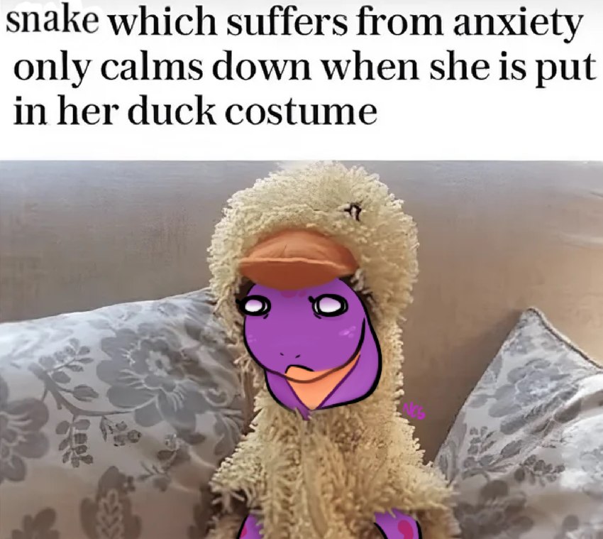 anthro clothing costume duck_costume female female_anthro pillow purple_body purple_skin real snake_hood solo text the_truth ncs keeshee cobra reptile scalie snake 2023 draw_over english_text hi_res meme