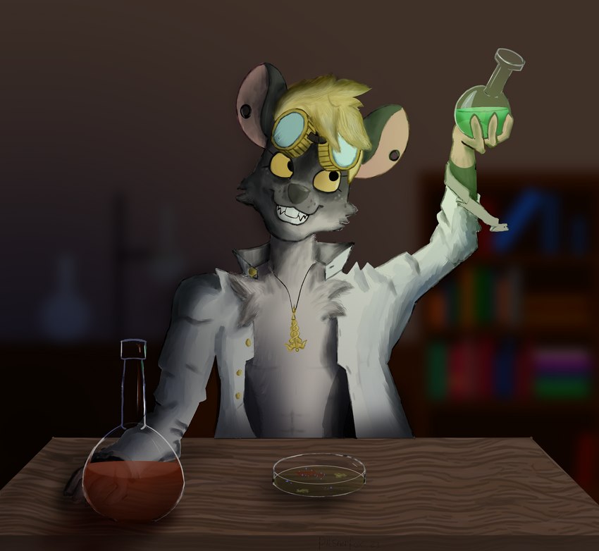 anthro blonde_hair blurred_background ear_piercing fur gauged_ear grey_body grey_fur hair laboratory_equipment laboratory_glassware looking_at_potion male petri_dish piercing potion potion_bottle scientific_instrument solo squire yellow_eyes pilsnerfox mammal murid murine rat rodent hi_res