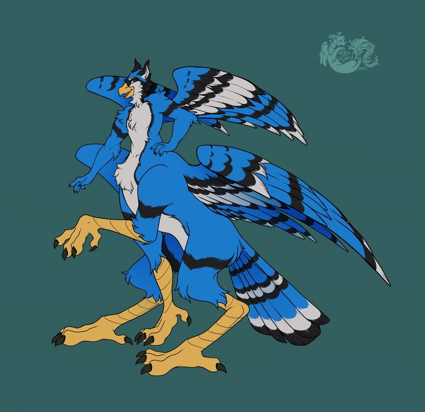 4_toes 5_fingers beak black_body black_claws black_feathers black_finger_claws black_toe_claws blue_body blue_feathers chest_tuft claws digitigrade dipstick_feathers feathered_wings feathers feet finger_claws fingers flat_shading glistening green_background green_eyes hand_on_hip inner_ear_fluff looking_at_viewer male markings multicolored_body multicolored_feathers nude_male nude_taur on_hind_legs quadruped simple_background solo spread_wings tail tail_feathers toe_claws toes tuft white_body white_feathers wings yellow_beak yellow_body yellow_legs yellow_skin nika_vizard avian avian_taur bird bird_taur blue_jay blue_jay_taur corvid jay_(bird) new_world_jay oscine passerine taur 2023 digital_drawing_(artwork) digital_media_(artwork) flat_colors hi_res watermark