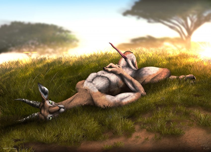 animal_genitalia animal_penis antelope_penis anthro balls detached_sheath erection genitals grass horn looking_at_viewer lying male nude on_back outside penis plant savanna sheath solo tapering_penis thin_penis tree white_balls white_sheath smexyoryx antelope bovid gerenuk mammal true_antelope