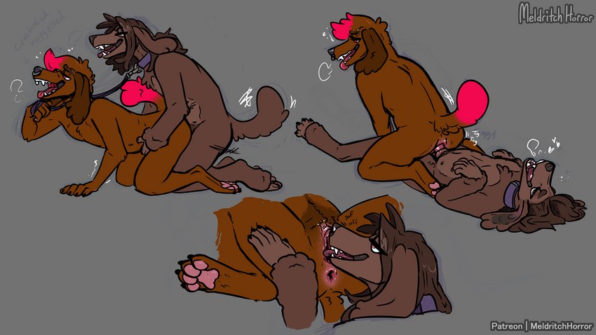 anal anal_penetration andromorph andromorph/male andromorph_on_top andromorph_penetrated anthro anthro_on_anthro anthro_on_bottom anthro_on_top anthro_penetrated anthro_penetrating anthro_penetrating_anthro biped black_nose brown_body brown_fur brown_hair collar cunnilingus digitigrade duo facial_piercing fur genitals grey_background hair intersex intersex/male intersex_on_top intersex_penetrated intraspecies leash leashed_collar male male_on_bottom male_penetrating male_penetrating_andromorph male_penetrating_intersex multicolored_body multicolored_fur multicolored_hair nose_piercing nose_ring on_bottom on_top oral pawpads penetration penile penile_penetration penis_in_ass piercing pink_pawpads pussy pussy_sniffing red_body red_fur red_hair ring_piercing sex simple_background sniffing spread_legs spreading two_tone_body two_tone_fur two_tone_hair vaginal meldritchhorror treppan_(character) canid canine canis domestic_dog mammal poodle 16:9 2023 digital_media_(artwork) hi_res widescreen nonbinary_(lore)