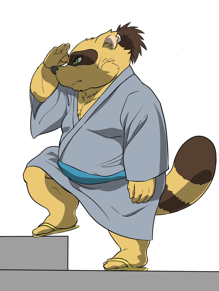 anthro brown_body brown_fur clothing footwear fur green_eyes humanoid_hands kemono male overweight overweight_anthro overweight_male robe sandals shoes simple_background solo hysk sengoku_puzzle tokugawa_ieyasu canid canine mammal raccoon_dog tanuki 2021 hi_res