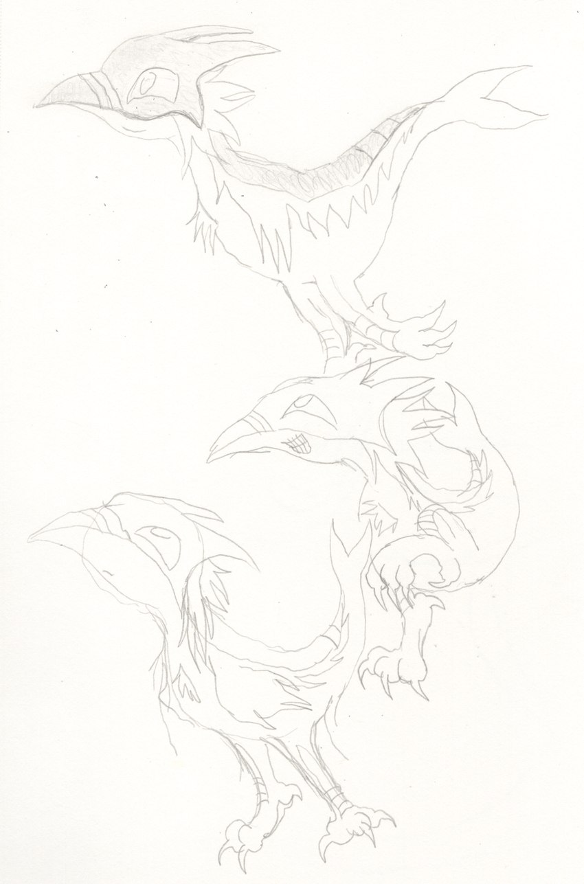 ambiguous_gender armless armor beak feral feral_with_hair grin hair happy looking_up mane one_leg_up raised_leg side_view smile solo standing teeth toothy_grin teochronico accipitrid accipitriform avian bird cetacean chimera hybrid mammal marine 2024 graphite_(artwork) hi_res traditional_media_(artwork)