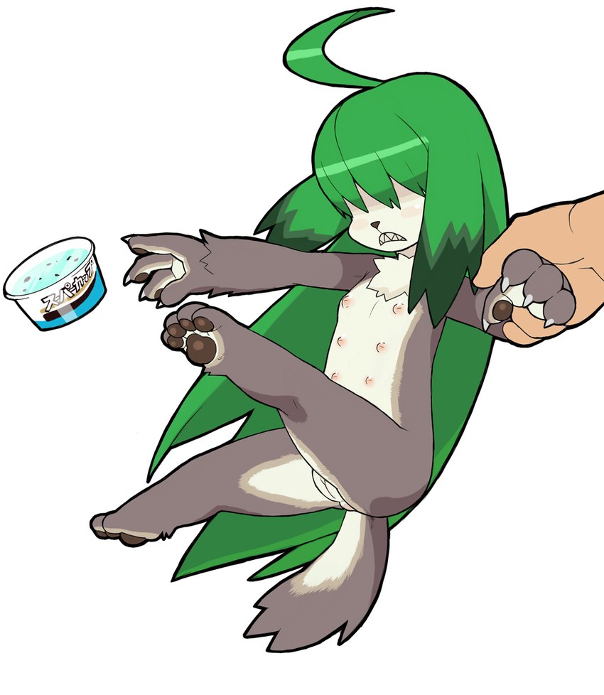 4_fingers 4_toes ahoge anthro anus barely_visible_anus brown_body brown_fur brown_pawpads chest_tuft claws clitoris countershading dessert disembodied_hand duo feet female finger_claws fingers flat_chested food fur genitals green_hair hair hair_over_eyes hand_holding hidden_eyes ice_cream loli long_hair multi_nipple nipples nude obscured_eyes offscreen_character pawpads pussy sharp_teeth simple_background solo_focus teeth text toes tuft white_background white_body white_countershading white_fur young young_anthro kemonon asian_mythology chinese_mythology east_asian_mythology futaba_channel mythology nijiura_maids konton-san canid canine canis domestic_dog hundun mammal hi_res japanese_text