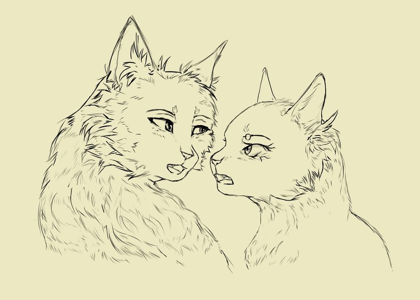 canon_couple duo eye_contact fangs female feral fur looking_at_another male male/female open_mouth simple_background teeth hysteriana warriors_(book_series) bluestar_(warriors) oakheart_(warriors) domestic_cat felid feline felis mammal wild_cat digital_media_(artwork) sketch