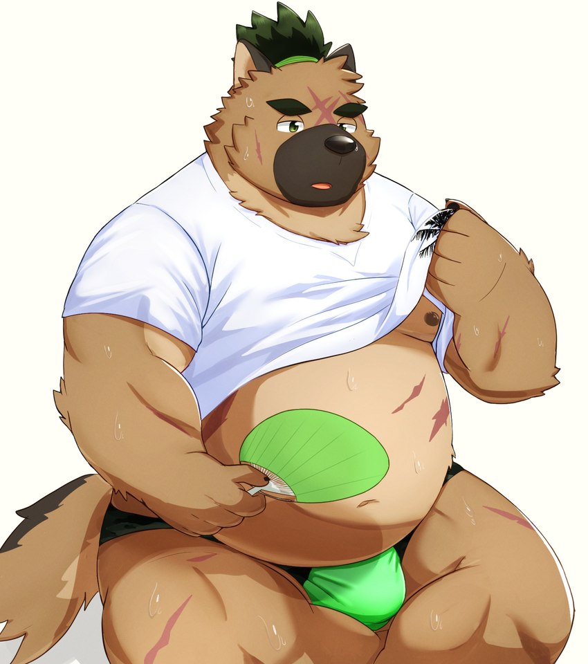 anthro belly bodily_fluids brown_body brown_fur bulge clothed clothing clothing_lift fan_(object) fur male musclegut muscular navel nipples pecs scar shirt shirt_lift solo speedo sweat swimwear topwear ruoain lifewonders tokyo_afterschool_summoners yasuyori_(tas) canid canine canis domestic_dog mammal absurd_res hi_res