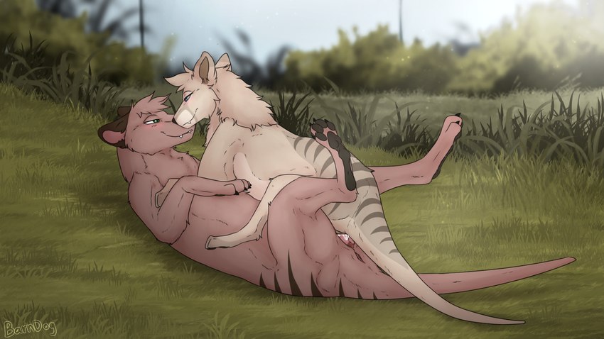 anus blush duo female female_on_top feral lying male male/female markings on_back on_top smile smirk spread_legs spreading striped_markings stripes barndog alyx_(barndog) thylus dasyuromorph mammal marsupial recently_extinct_species thylacine 16:9 hi_res widescreen