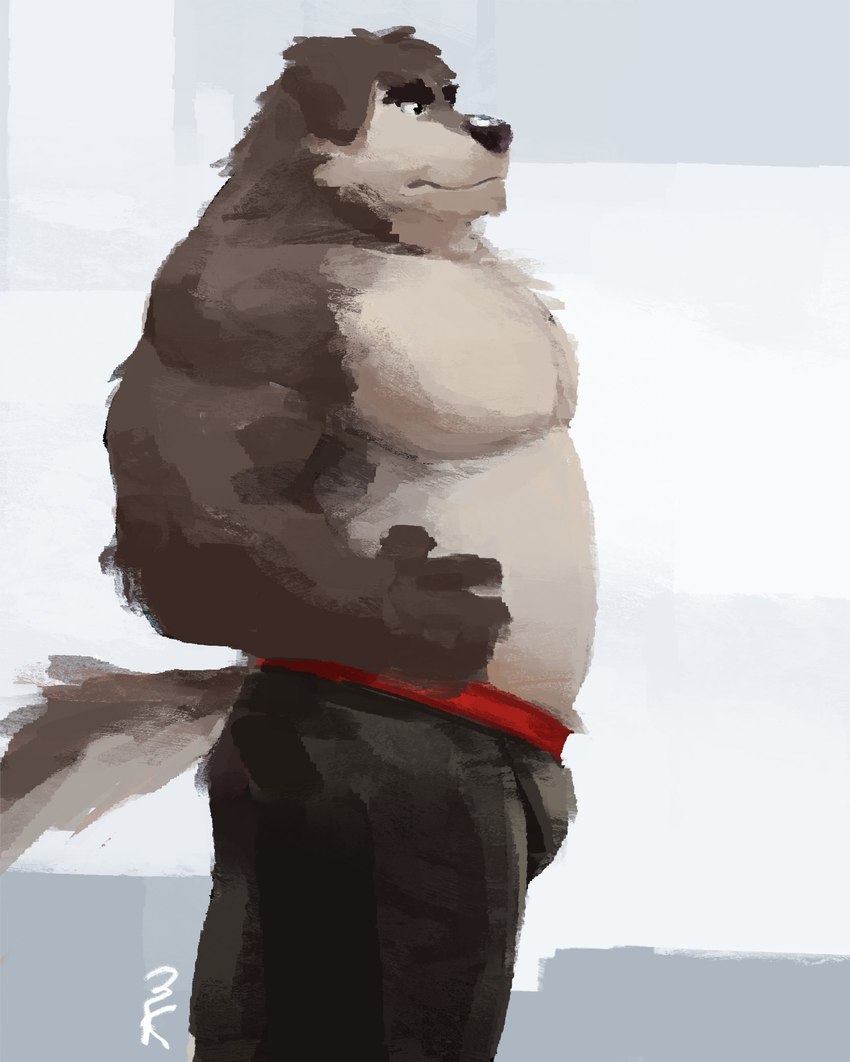 abstract_background anthro bottomwear brown_body brown_fur clothed clothing fur male multicolored_body multicolored_fur muscular muscular_male overweight overweight_male pants solo tail topless topless_male tuft two_tone_body two_tone_fur 3000vnd canid canine canis domestic_dog mammal hi_res