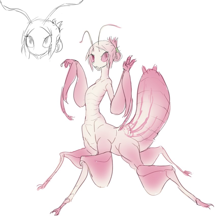 antennae_(anatomy) anthro arthropod_abdomen female hair hair_bun long_neck looking_at_viewer mandibles noseless nude pink_body pink_eyes pink_hair pink_sclera pink_skin quadruped short_hair solo standing tateoftot arthropod flower_mantis insect mantis orchid_mantis 1:1 sketch