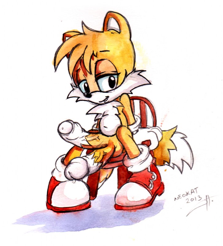 miles prower (sonic the hedgehog (series) and etc) created by neokat