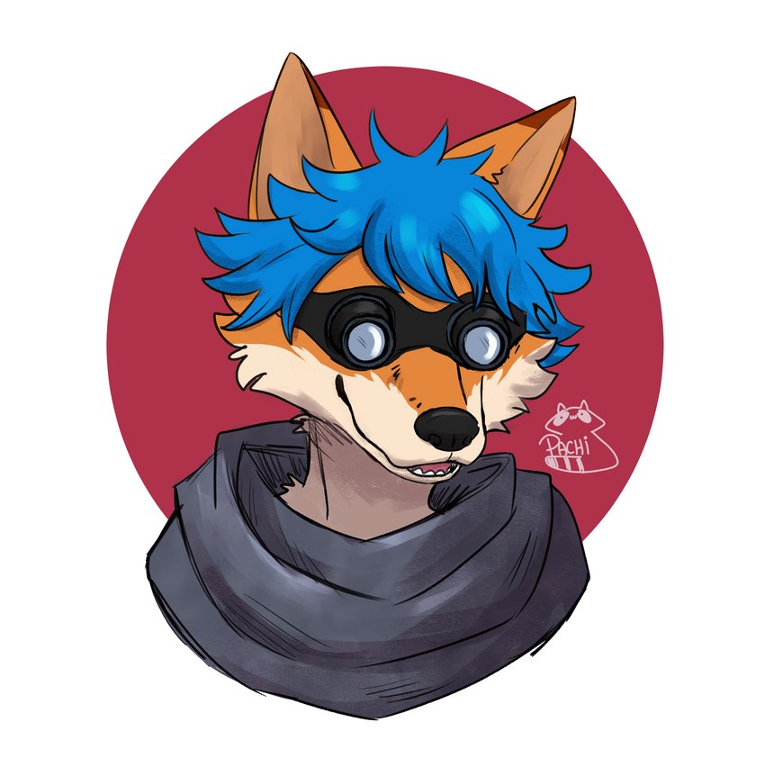 anthro black_nose blue_hair brown_body brown_ears brown_fur dipstick_ears ear_markings eyewear fur goggles hair male mercenary multicolored_ears orange_body orange_ears orange_fur rounders scarf solo white_body white_fur pachi_mapache capcom lost_planet wise_(wiseesp) canid canine culpeo_fox fox mammal south_american_fox absurd_res hi_res