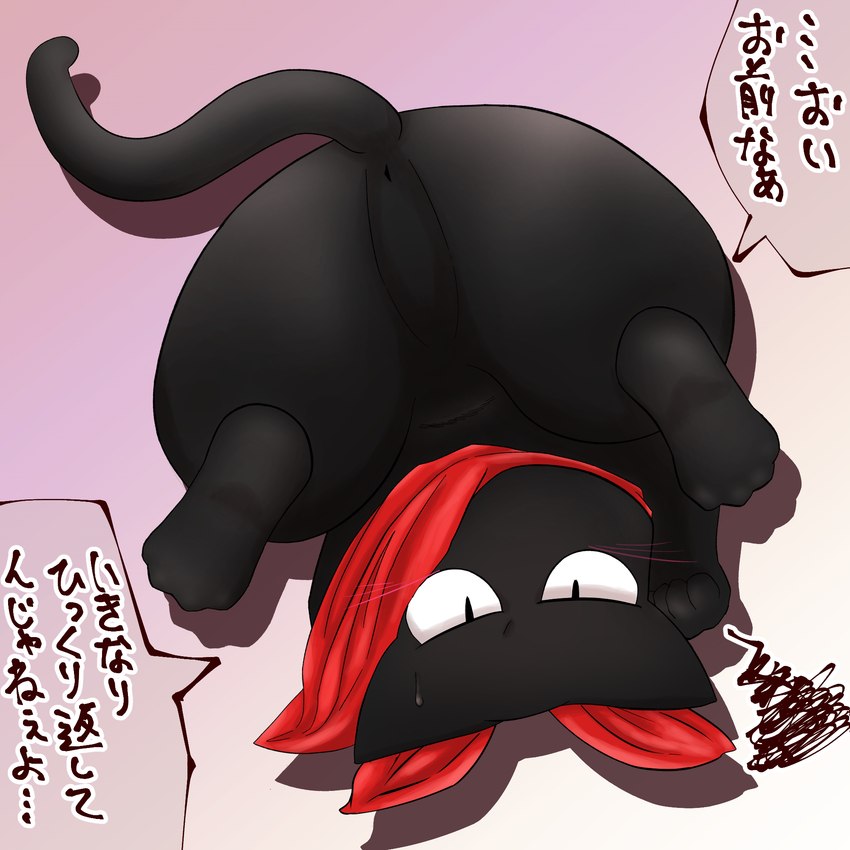 anus black_body black_fur bodily_fluids butt featureless_crotch feral fur kerchief looking_at_viewer male neckerchief neckwear red_kerchief red_neckerchief solo sweat sweatdrop tail text yashichi_(pixiv) nichijou sakamoto_(nichijou) domestic_cat felid feline felis mammal 1:1 2022 hi_res