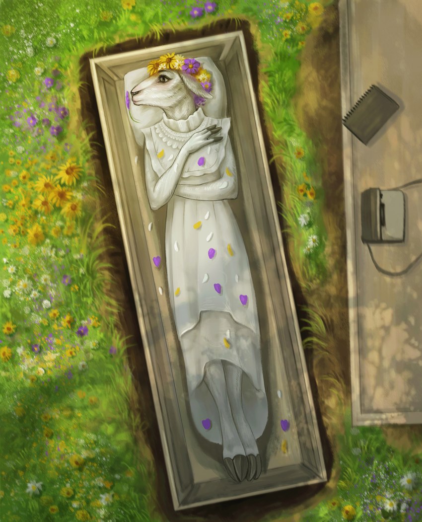 anthro blush camera clothing cloven_hooves coffin dress female fingers flower funeral gown grass hooved_fingers hooves lavender_(flower) lying notebook on_back petals plant playing_dead solo wreath bladapacha fia_(arielcelestia) bovid caprine mammal sheep absurd_res hi_res