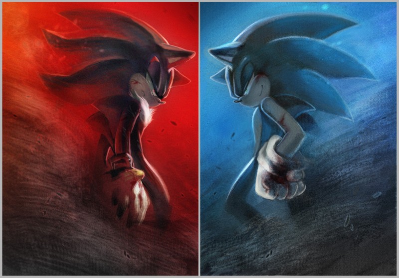 shadow the hedgehog and sonic the hedgehog (sonic the hedgehog (series) and etc) created by mri