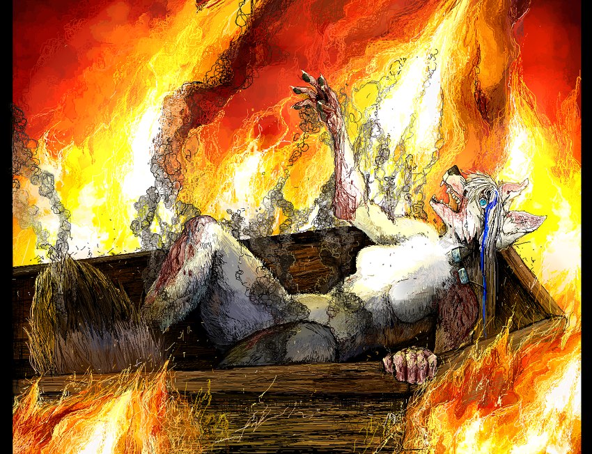 anthro breasts burn_fetish burn_marks burn_wound burned burning burning_alive burnt coffin cremation death dying eyewear eyewear_only featureless_breasts female fire glasses gore grotesque_death imminent_death nude pain snuff solo suffering jeffusherb fio_(wipfenfels) arctic_fox canid canine fox mammal true_fox