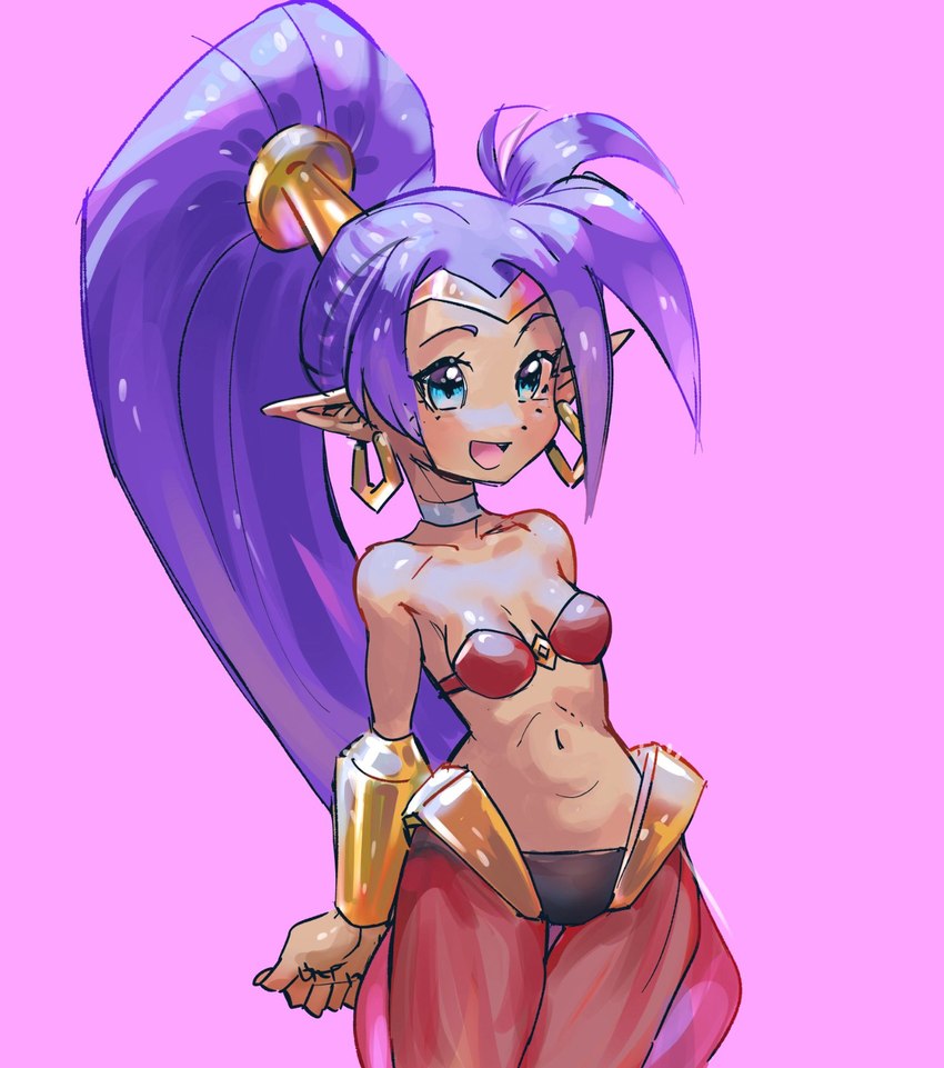 shantae (shantae (series) and etc) created by megamilkybee