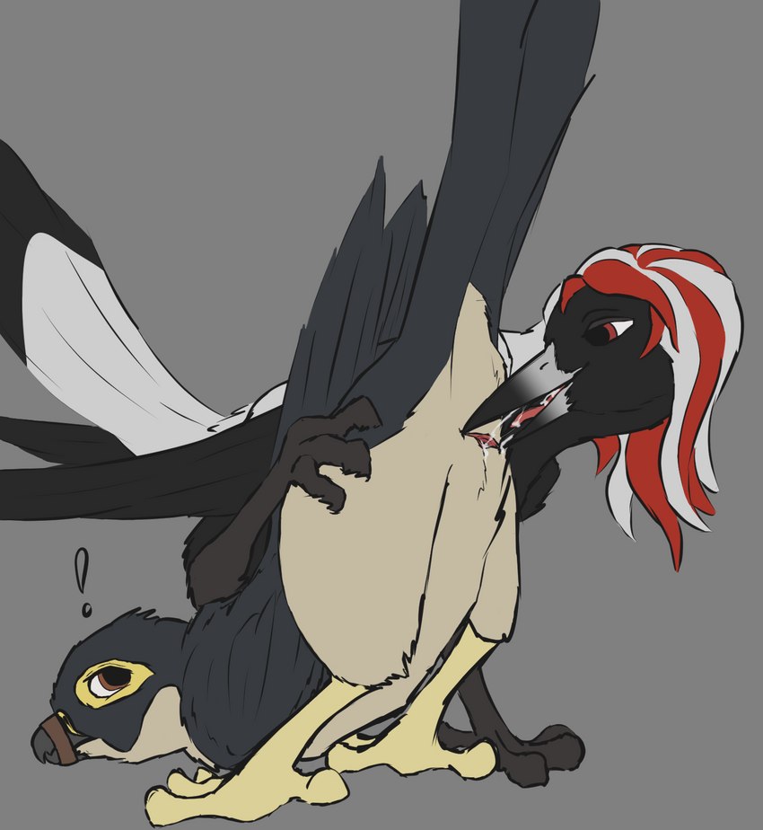 anatomically_correct anatomically_correct_cloaca anatomically_correct_genitalia animal_genitalia ass_up avian_butt beak beak_fetish beak_play beak_sex beakjob biped black_beak black_body black_feathers bodily_fluids cloaca cloaca_ejaculation cloaca_juice cloacal cloacal_cumshot cloacal_orgasm cloacalingus cum cum_drip cum_from_cloaca cum_in_beak cum_in_cloaca cum_in_mouth cum_inside cum_on_tongue cumshot cumshot_in_beak cumshot_in_mouth dipstick_beak dominant dominant_female dominant_feral dripping duo ejaculation feathered_wings feathers feet female feral genital_fluids genitals hair interspecies male male/female multicolored_beak multicolored_body multicolored_feathers nude open_mouth oral orgasm pink_cloaca sex simple_background spread_cloaca spreading submissive submissive_male tail tail_feathers toes tongue two_tone_beak white_body white_feathers wings sorre cynthia_(ripper253) sorre_(character) artamid australian_magpie avian bird cracticinae falcon falconid oscine passerine peregrine_falcon digital_media_(artwork) hi_res