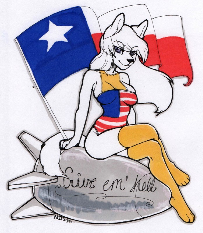 anthro biped bomb cursive explosives female flag fur hair looking_at_viewer nose_art on_explosive solo texas texas_flag text us_state_flag white_body white_fur white_hair niis canid canine fox mammal english_text hi_res