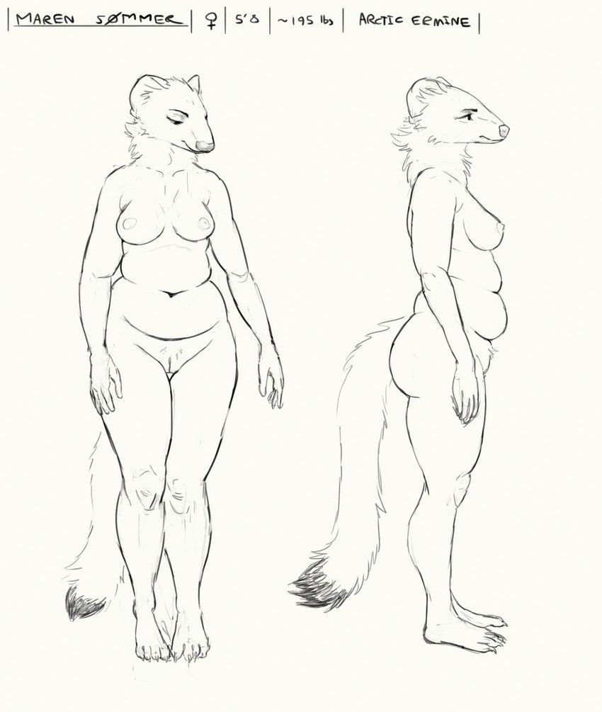 anthro belly breasts female front_view genitals looking_down nipples nude pussy side_view slightly_chubby slightly_chubby_anthro slightly_chubby_female solo standing tail text cettus maren_sommer mammal mustelid musteline stoat true_musteline weasel 2020 english_text hi_res model_sheet sketch